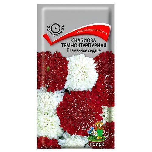 ������ ������ �������� �����-��������� ��������� ������ �����   ����