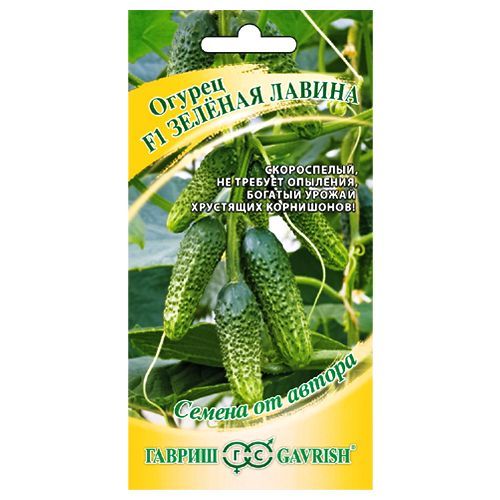 ������ ������ ������ �������� ������� ������ F1 ������   ����