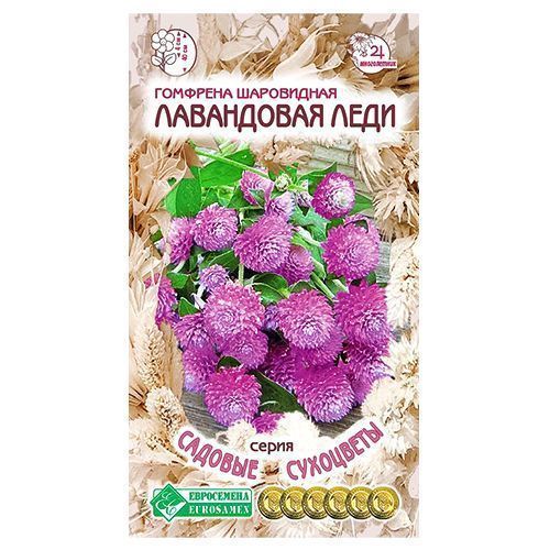 ������ ������ �������� ���������� ���� ����������   ����