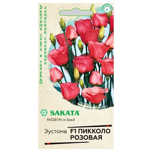 ������ ������ ������� ������� ������� F1 ������   ����