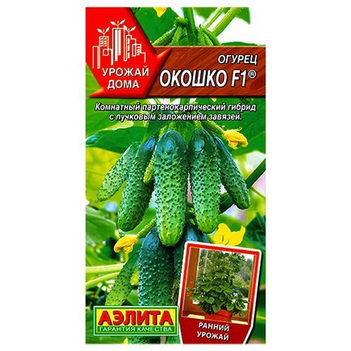 ������ ������ ������ ������ F1 ������   ����