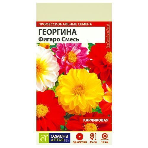 ������ ������ �������� �������� ������, ����� ������� ������ �����   ����