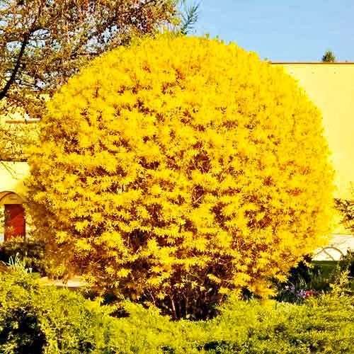 ������ ������ �������� ������ ����   ����