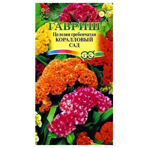 ������ ������ ������� ����������� ���������� ���, ����� ������� ������   ����