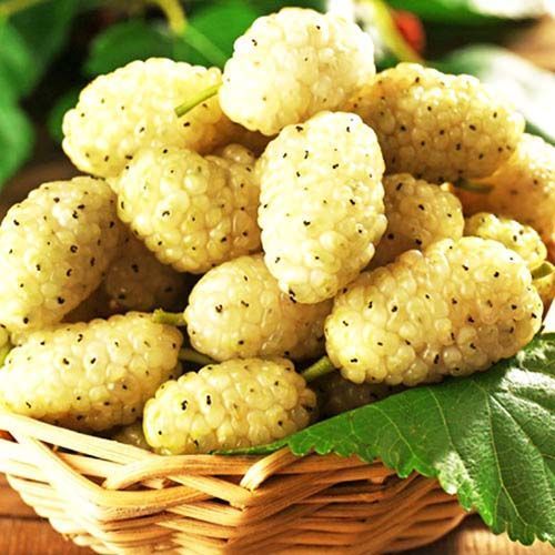 ������ ������ ��������� ����� �������   ����