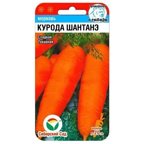 ������ ������ ������� ������ ������� ��������� ���   ����