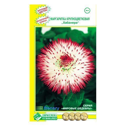 ������ ������ ���������� �������� ����������   ����