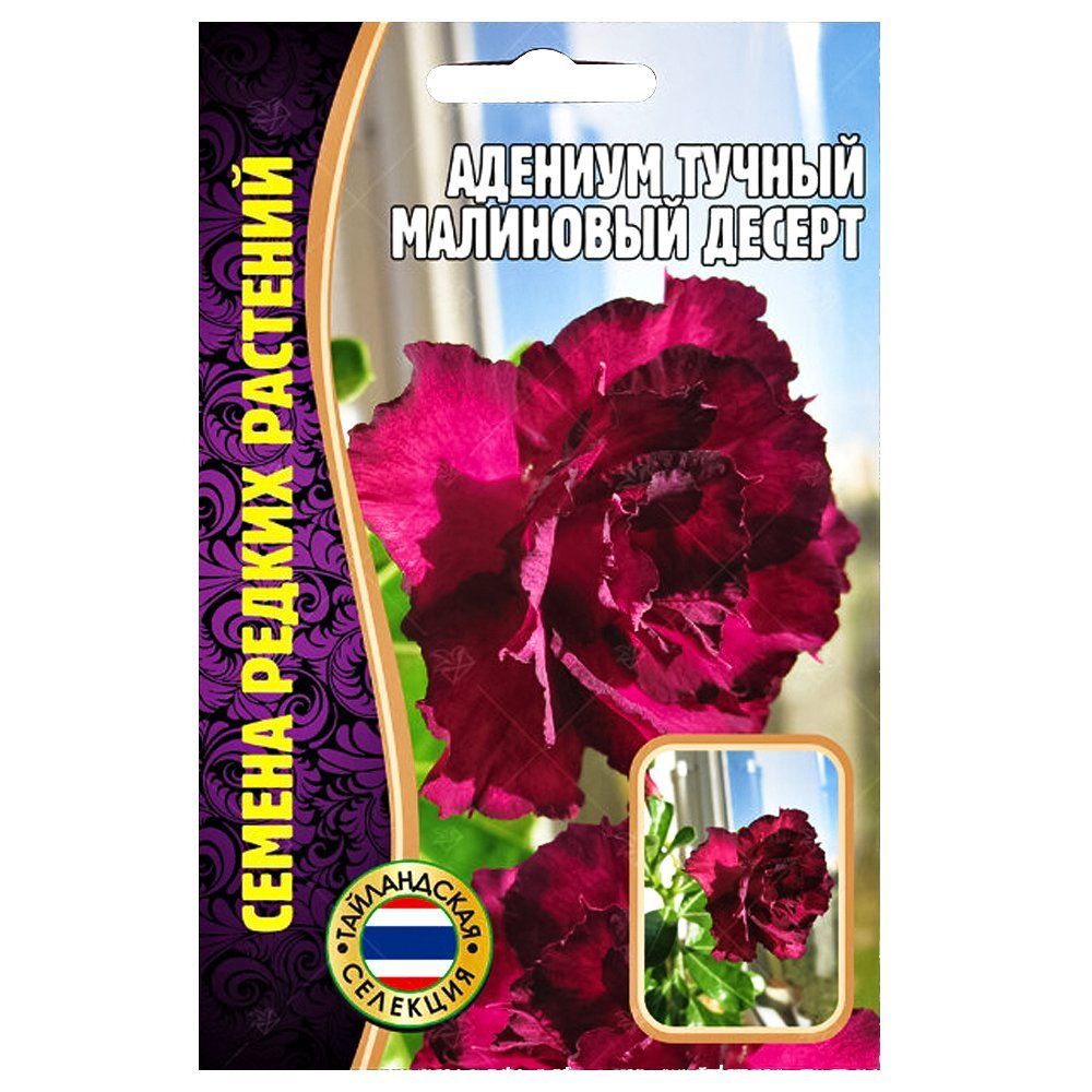 ������ ������ ������� ��������� ������ ������ ������   ����