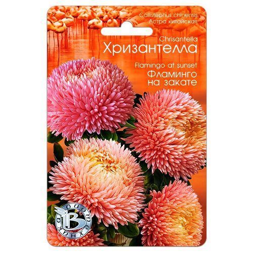 ������ ������ ����� ��������� ����������� �������� �� ������ ����������   ����