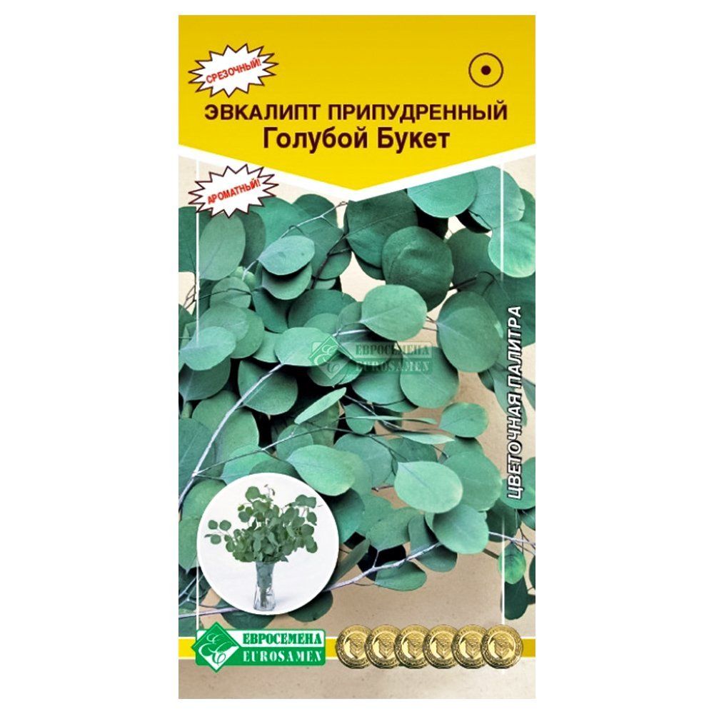 ������ ������ �������� ������������ ������� ����� ����������   ����