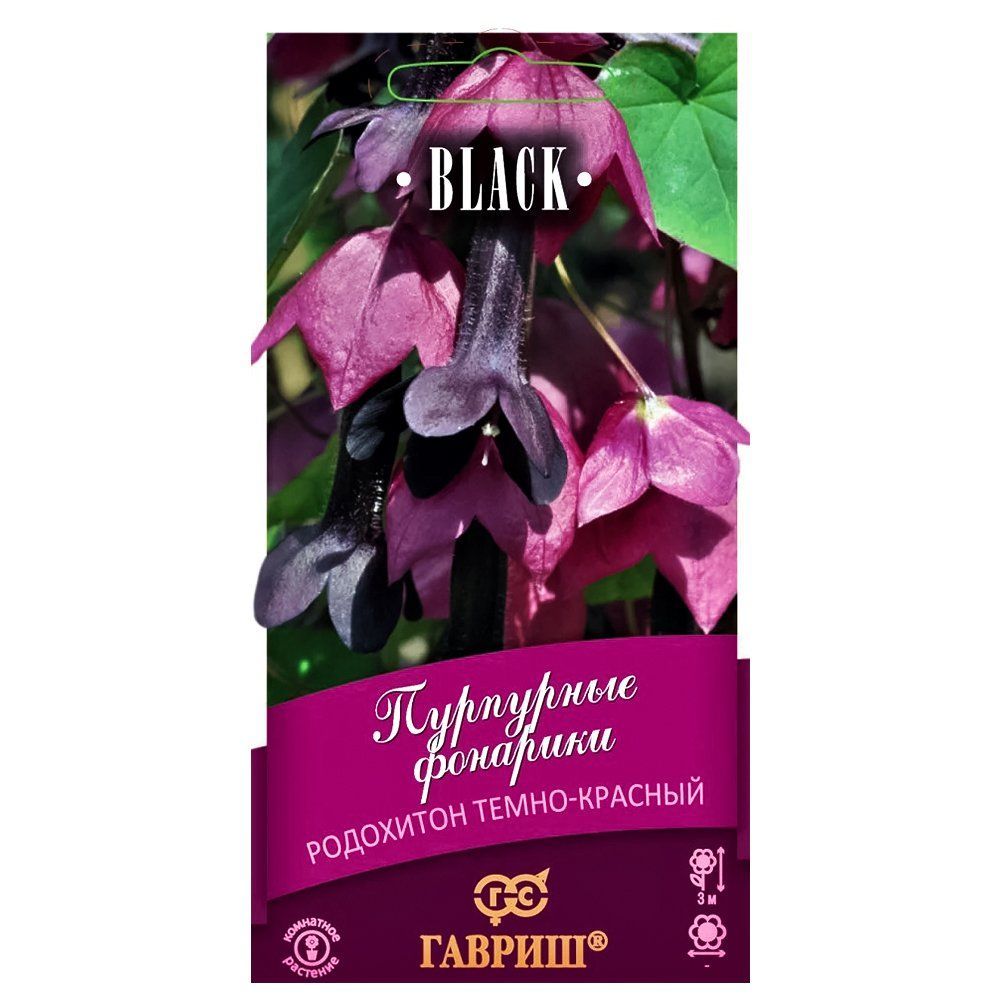 ������ ������ ��������� ��������� �������� ������   ����