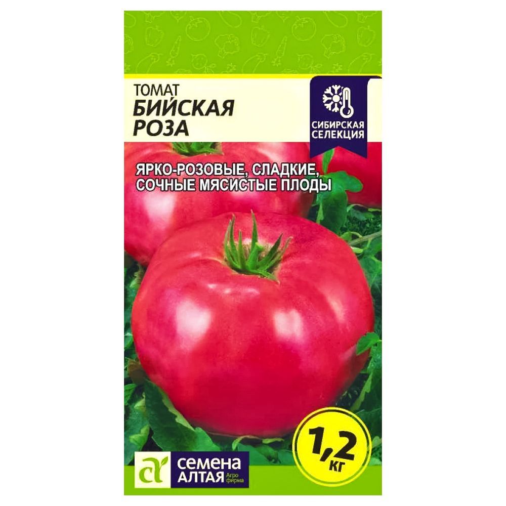 ������ ������ ����� ������� ���� ������ �����   ����