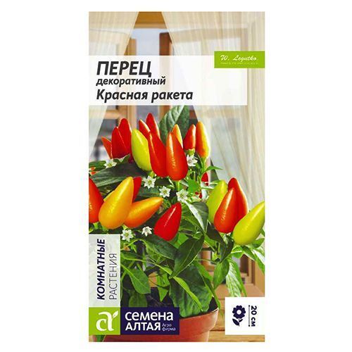 ������ ������ ����� ������������ ������� ������ ������ �����   ����