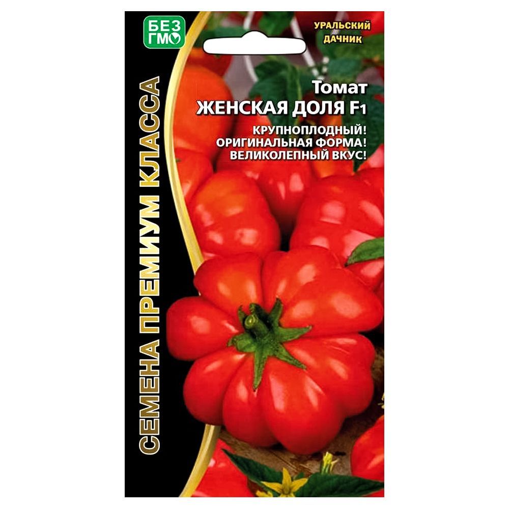 ������ ������ ����� ������� ���� F1 ��������� ������   ����