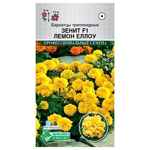 ������ ������ �������� ����������� ����� F1 ����� ����� ����������   ����