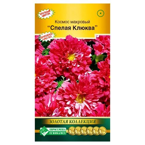 ������ ������ ������ �������� ������ ������ ����������   ����