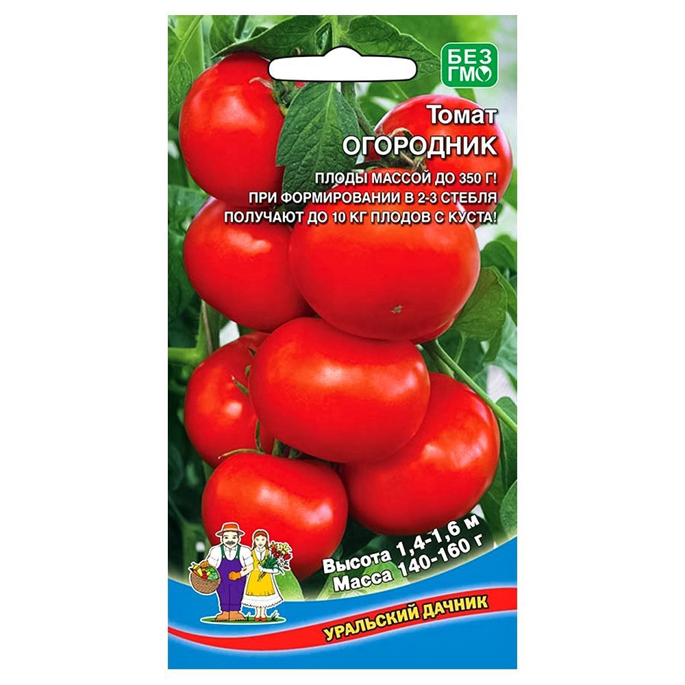 ������ ������ ����� ��������� ��������� ������   ����