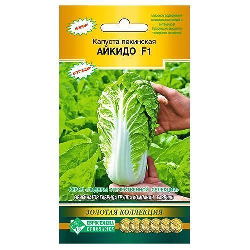 ������ ������ ������� ��������� ������ F1 ����������   ����