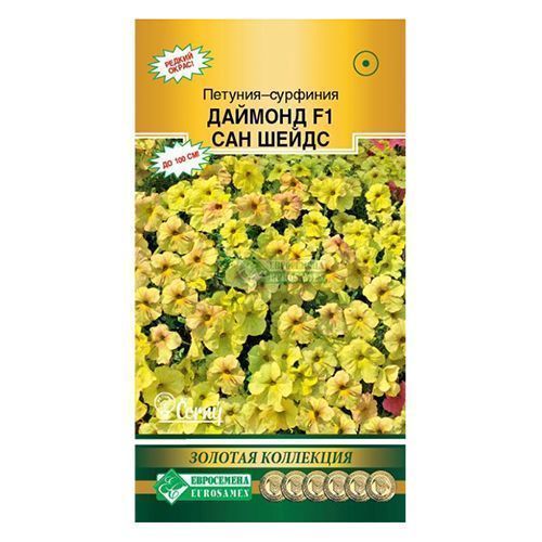 ������ ������ �������-�������� ������� ��� ����� ����������   ����