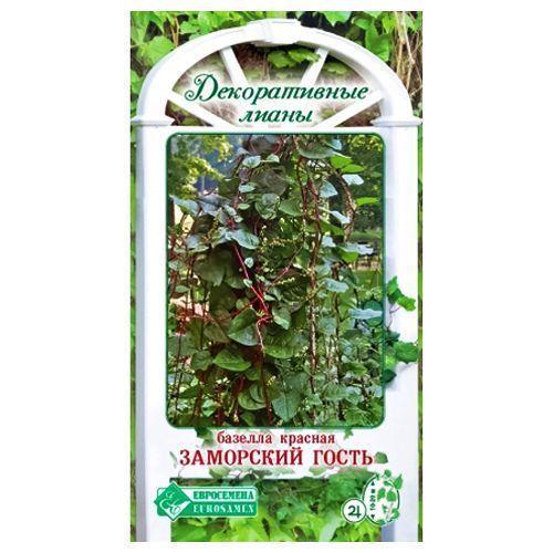 ������ ������ ������� ������� ��������� ����� ����������   ����