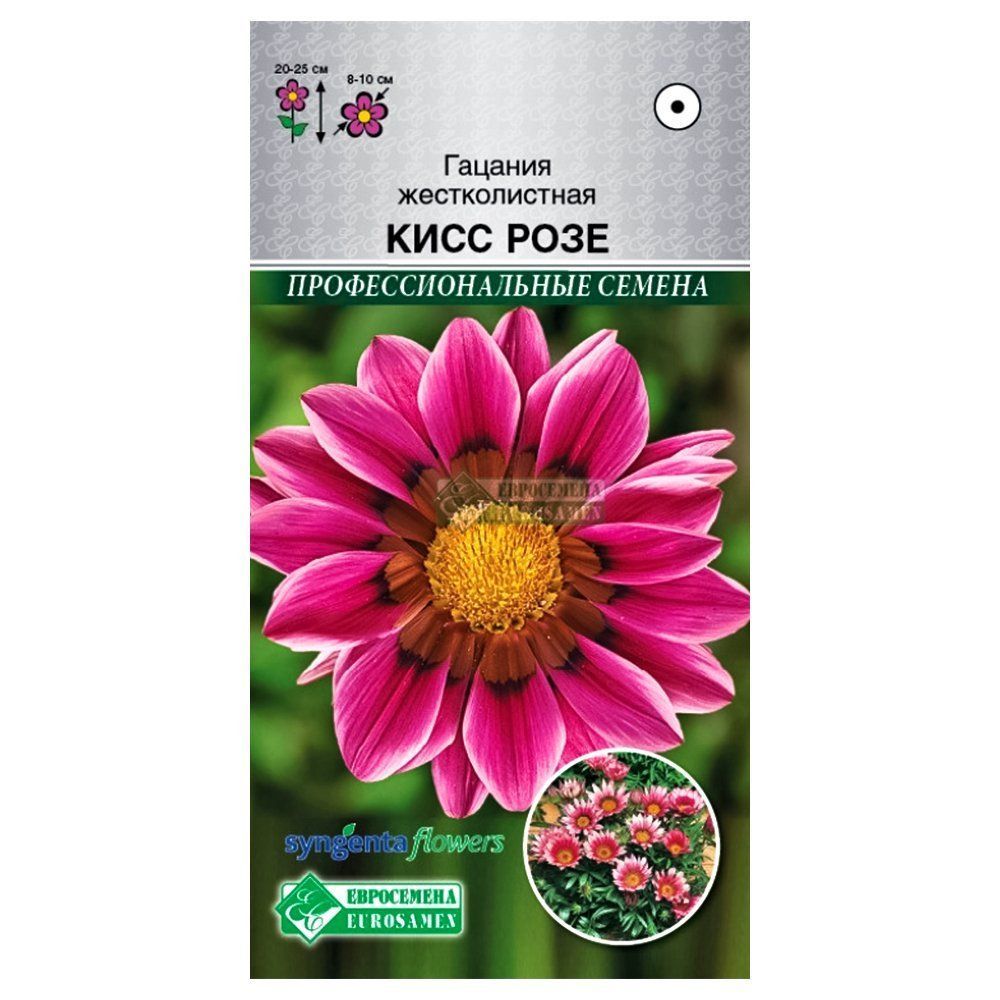 ������ ������ ������� ���� ���� ����������   ����