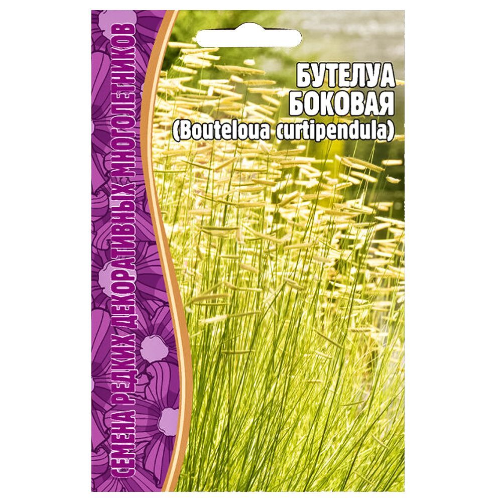 ������ ������ ������� ������� ������ ������   ����