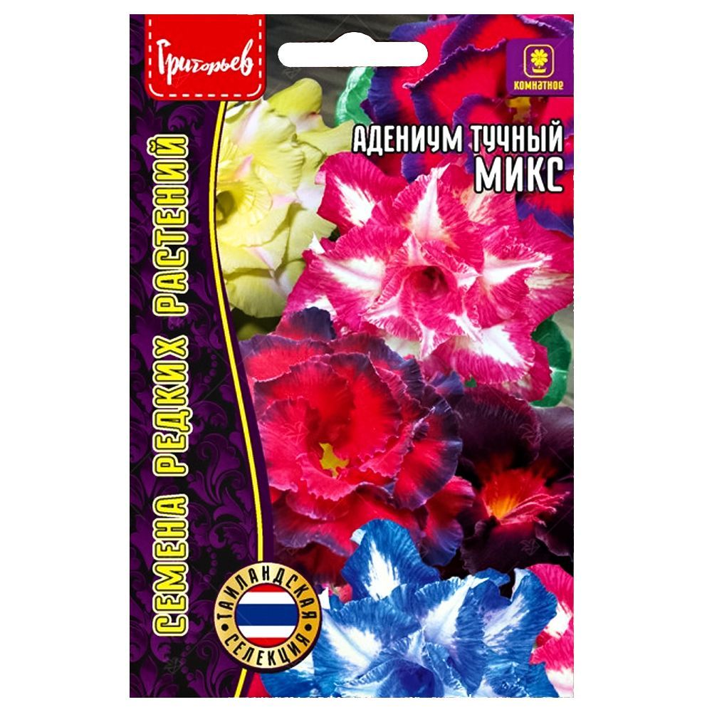 ������ ������ �������, ����� ������� ������ ������   ����