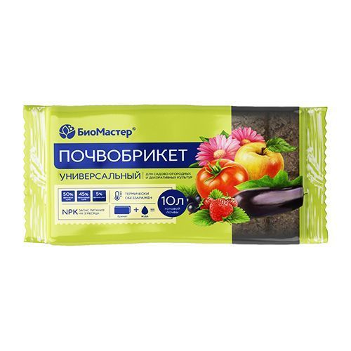 ������ ������ ��������� ����������� ������������� 10 �   ����