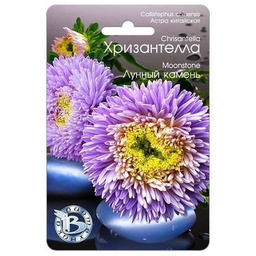 ������ ������ ����� ��������� ����������� ������ ������ ����������   ����