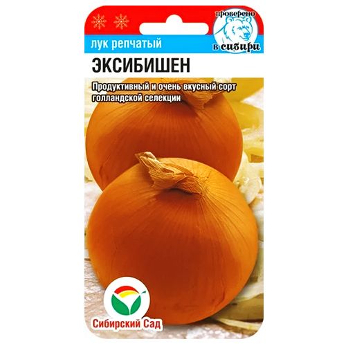 ������ ������ ��� �������� ��������� ��������� ���   ����