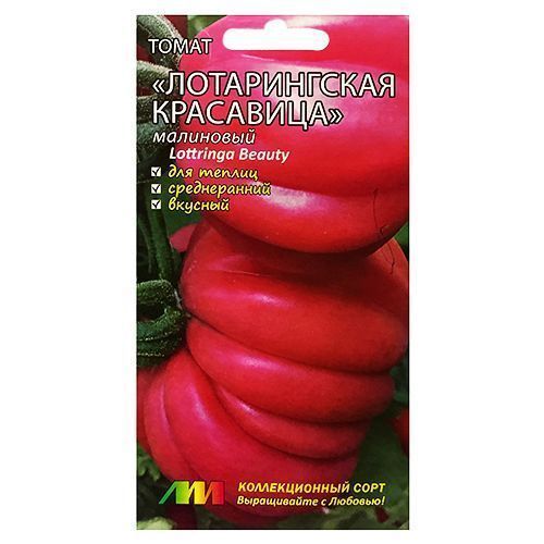 ������ ������ ����� ������������ ��������� ��������� ����������� ������ �.�.   ����