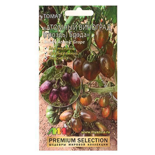 ������ ������ ����� ������� �������� ����� ����������� ������ �.�.   ����