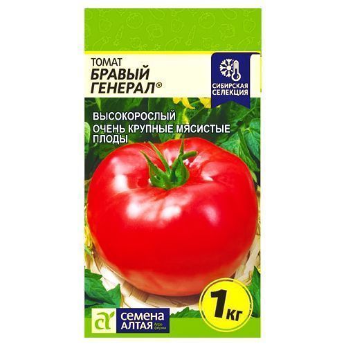 ������ ������ ����� ������ ������� ������ �����   ����