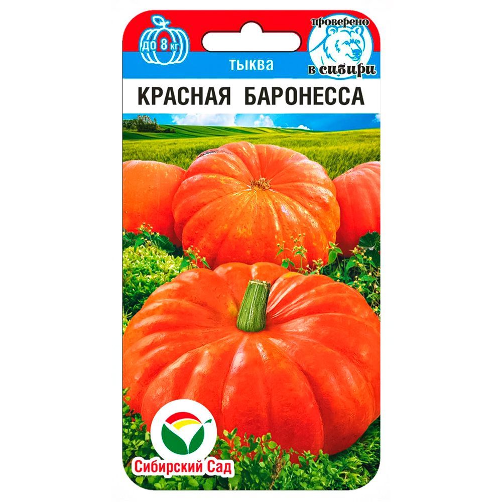 ������ ������ ����� ������� ��������� ��������� ���   ����