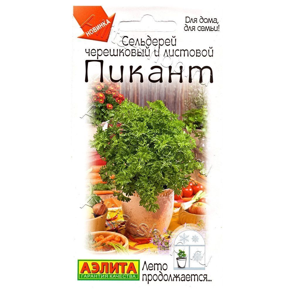 ������ ������ ��������� ���������� � �������� ������ ������   ����