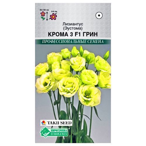 ������ ������ ��������� (�������) 3 ����� ���� F1 ����������   ����