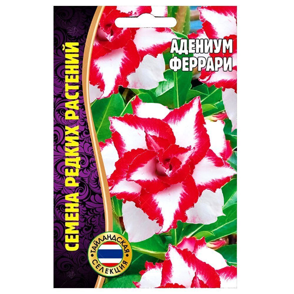 ������ ������ ������� ������� ������ ������   ����