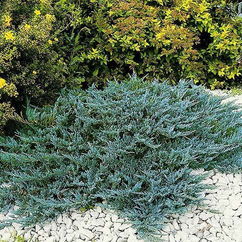 ������ ������ ������������ �������������� ��� ���   ����