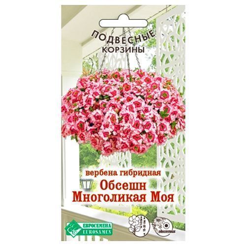 ������ ������ ������� ������ ���������� ��� ����������   ����