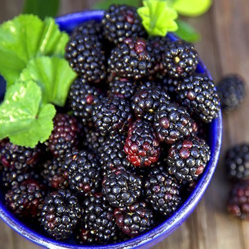 ������ ������ ������ ������ ����������   ����