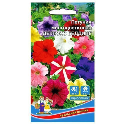 ������ ������ ������� �������������� ������ �������, ����� ������� ��������� ������   ����