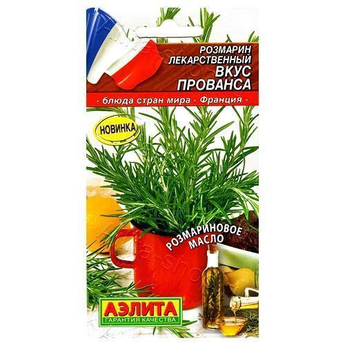 ������ ������ �������� ���� �������� ������   ����