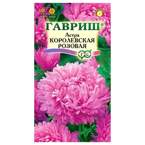 ������ ������ ����� ����������� ����������� ������� ������   ����