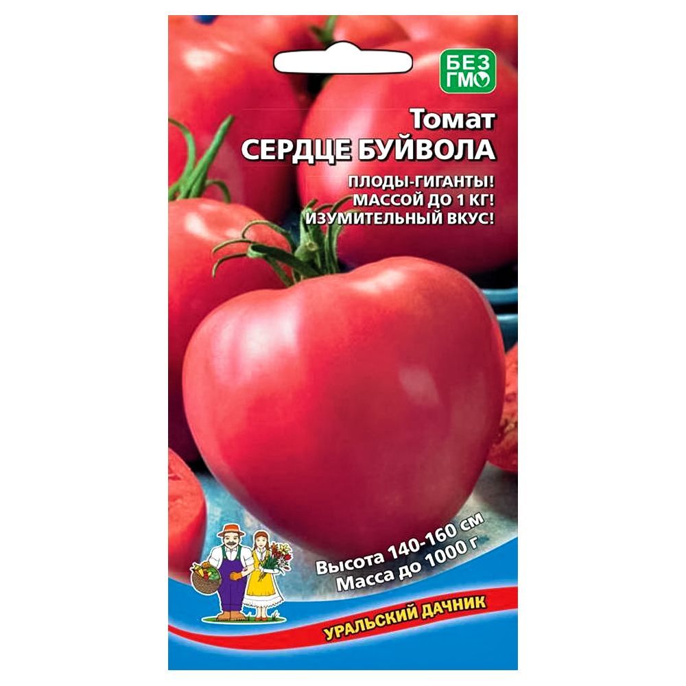 ������ ������ ����� ������ ������� ��������� ������   ����