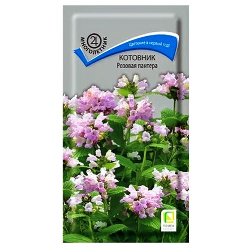 ������ ������ �������� ������� ������� �����   ����