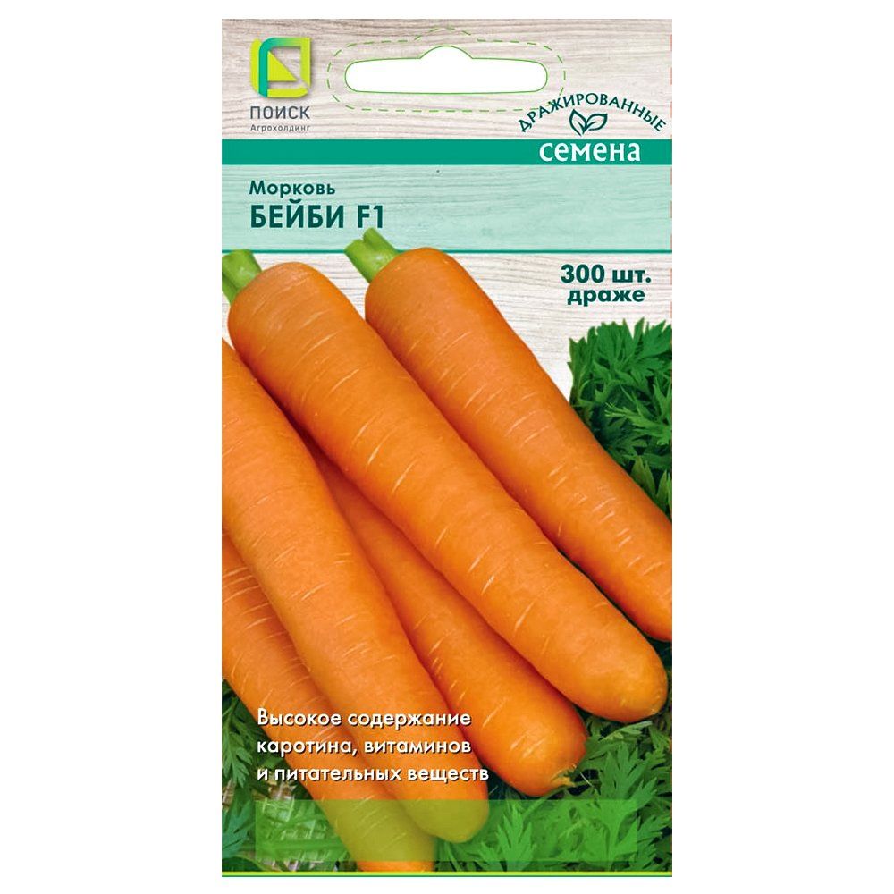 ������ ������ ������� ����� F1, ������� �����   ����