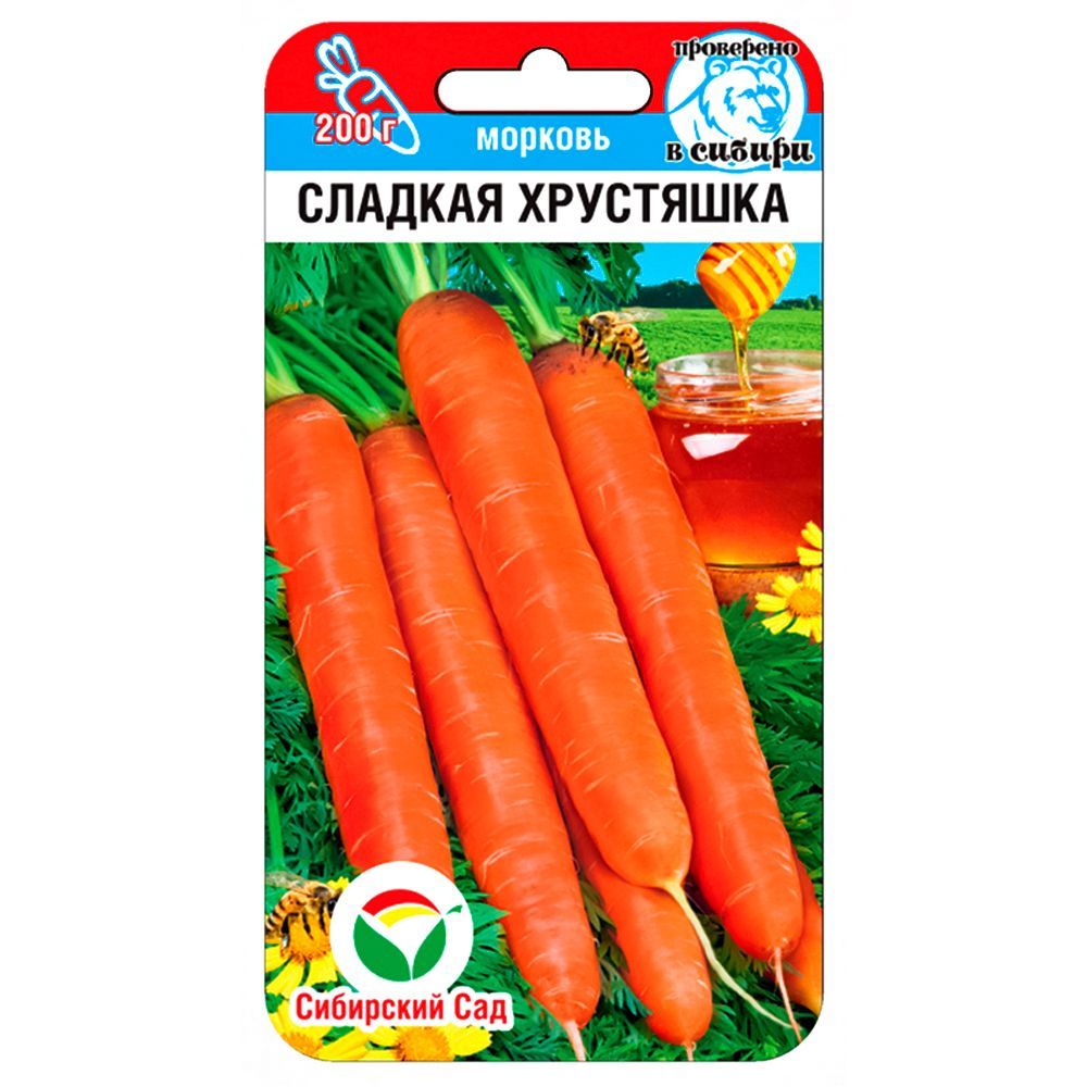 ������ ������ ������� ������� ��������� ��������� ���   ����