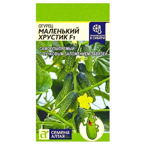 ������ ������ ������ ��������� ������� F1 ������ �����   ����