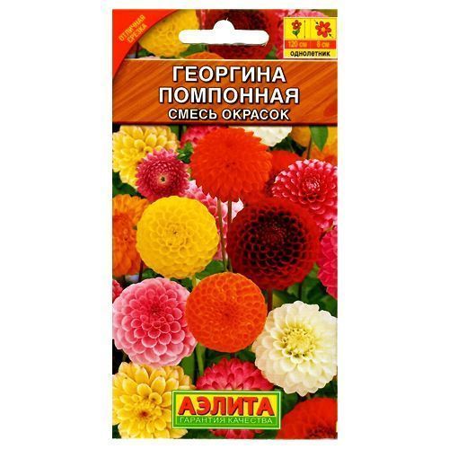 ������ ������ �������� ���������, ����� ������� ������   ����