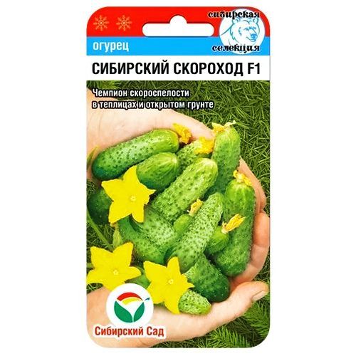 ������ ������ ������ ��������� �������� F1 ��������� ���   ����